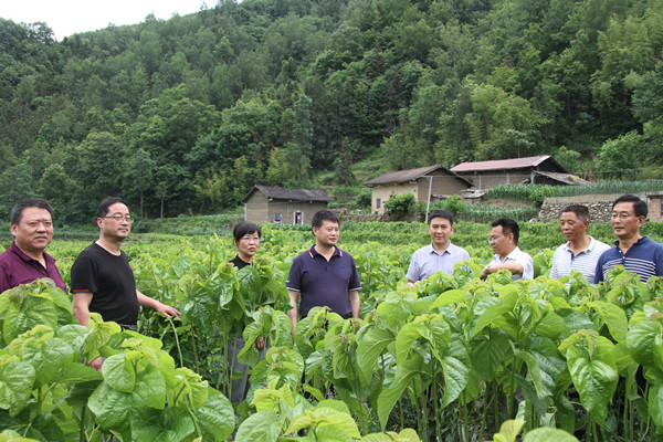 安康市商務(wù)局領(lǐng)導(dǎo)來(lái)我公司調(diào)研春蠶收購(gòu)及扶貧點(diǎn)蠶?；亟ㄔO(shè)情況
